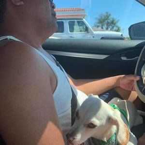 Meet your Posher, Gary